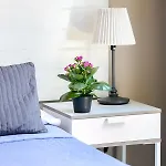 Bed and breakfast Amoroma Roma